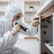 Servicio de fumigación para hogares en Tampico